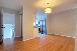 553 W Park Ave, Libertyville, IL 60048 - Photo 2