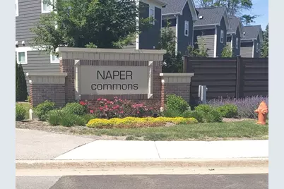 1221 Josiah Road #1221, Naperville, IL 60563 - Photo 28