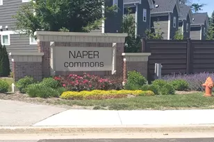 1221 Josiah Rd, Naperville, IL 60563 - Photo 28