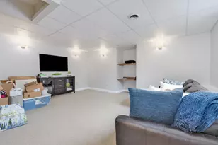 26559 Lily Lake Ln, Channahon, IL 60410 - Photo 32