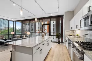 860 W Blackhawk St, Chicago, IL 60642 - Photo 6