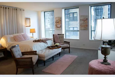 260 E Chestnut Street #409, Chicago, IL 60611 - Photo 2