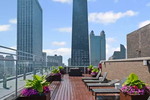 260 E Chestnut St, Chicago, IL 60611 - Photo 24