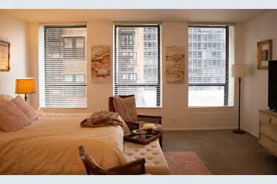 260 E Chestnut Street #409, Chicago, IL 60611 - Photo 4
