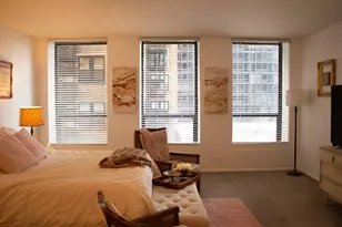 260 E Chestnut St, Chicago, IL 60611 - Photo 4