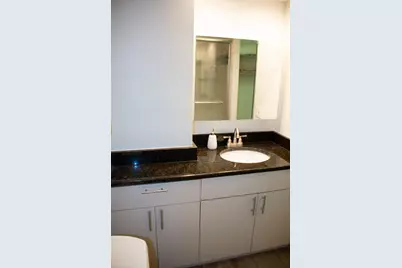 260 E Chestnut Street #409, Chicago, IL 60611 - Photo 8