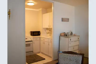 260 E Chestnut Street #409, Chicago, IL 60611 - Photo 6