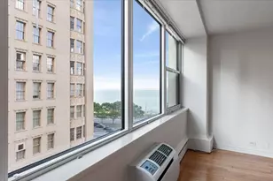 1150 N Lake Shore Dr, Chicago, IL 60611 - Photo 8