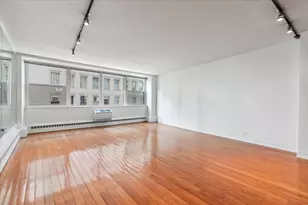 1150 N Lake Shore Dr, Chicago, IL 60611 - Photo 6