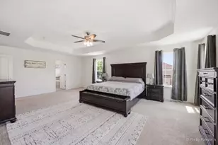 24515 Sand Creek Ct, Plainfield, IL 60586 - Photo 14
