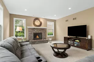 460 W Haleys Hill Ct, Palatine, IL 60074 - Photo 14