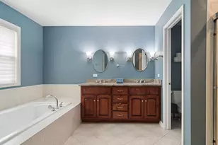 460 W Haleys Hill Ct, Palatine, IL 60074 - Photo 26