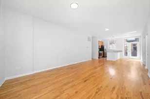 317 E 25th St, Chicago, IL 60616 - Photo 2
