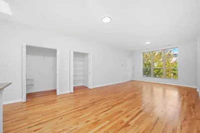 317 E 25th Street #3E, Chicago, IL 60616 - Photo 6