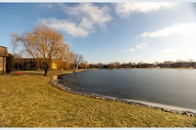 9446 Bay Colony Drive #1S, Des Plaines, IL 60016 - Photo 18