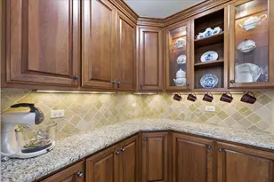 21250 S Redwood Ln, Shorewood, IL 60404 - Photo 16