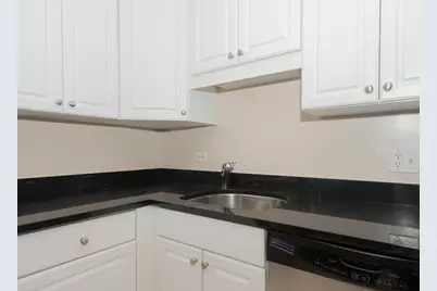 10 E Ontario Street #1203, Chicago, IL 60611 - Photo 24
