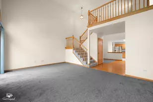 8740 Bally Castle Ln, Tinley Park, IL 60487 - Photo 10
