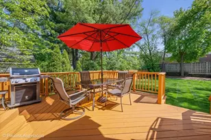 443 June Terrace, Barrington, IL 60010 - Photo 38