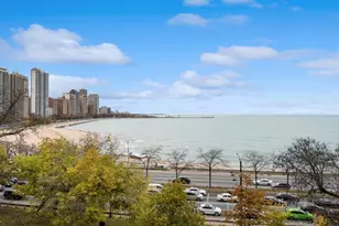 219 E Lake Shore Dr, Chicago, IL 60611 - Photo 30