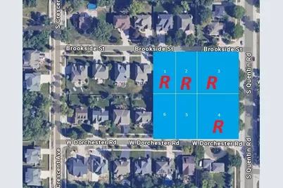 842 W Dorchester Street, Palatine, IL 60067 - Photo 4
