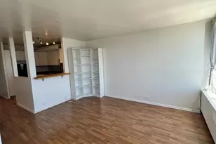 4800 S Chicago Beach Dr, Chicago, IL 60615 - Photo 6