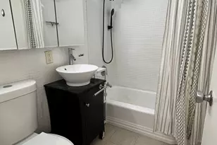 4800 S Chicago Beach Dr, Chicago, IL 60615 - Photo 10