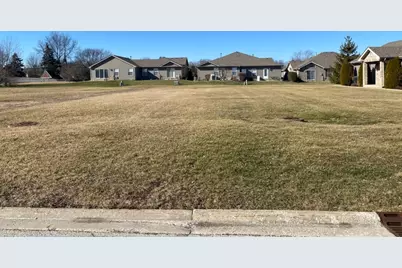 916 Lange Avenue, Beecher, IL 60401 - Photo 1