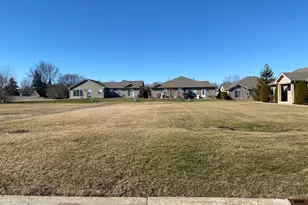 916 Lange Ave, Beecher, IL 60401 - Photo 1
