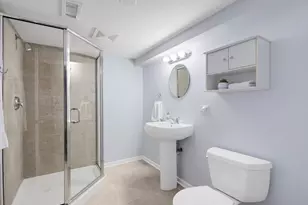 337 S Park Ave, La Grange, IL 60525 - Photo 36