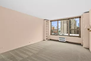 1550 N Lake Shore Dr, Chicago, IL 60610 - Photo 10