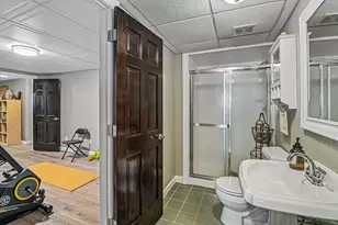 3N681 Trotter Ln, Saint Charles, IL 60175 - Photo 50