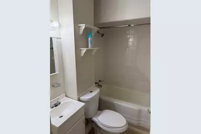 3241 S Parnell Avenue, Chicago, IL 60616 - Photo 10