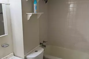 3241 S Parnell Ave, Chicago, IL 60616 - Photo 10