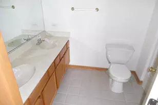 4613 Lindenwood Ct, Matteson, IL 60443 - Photo 10