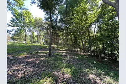 0000 Lakeshore Dr South, Orangeville, IL 62959 - Photo 6