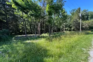 0000 Lakeshore Dr S, Orangeville, IL 62959 - Photo 1