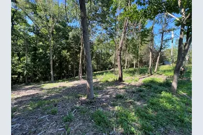 0000 Lakeshore Dr South, Orangeville, IL 62959 - Photo 8
