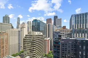 211 E Ohio St, Chicago, IL 60611 - Photo 16