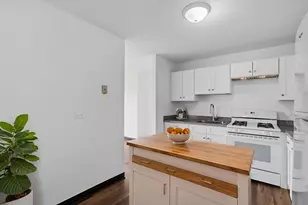 4850 S Lake Park Ave, Chicago, IL 60615 - Photo 12