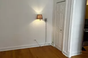 20 E Goethe St, Chicago, IL 60610 - Photo 6