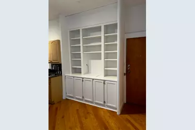 20 E Goethe Street #504, Chicago, IL 60610 - Photo 2