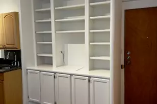 20 E Goethe St, Chicago, IL 60610 - Photo 2