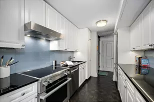 1310 N Ritchie Ct, Chicago, IL 60610 - Photo 16