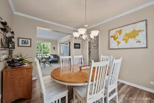 9145 Sawyer St, Huntley, IL 60142 - Photo 8