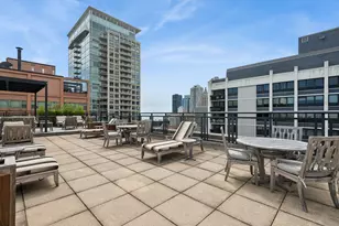 850 N Dewitt Pl, Chicago, IL 60611 - Photo 12