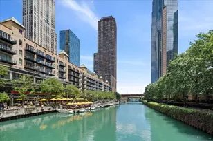 447 N McClurg Ct, Chicago, IL 60611 - Photo 2