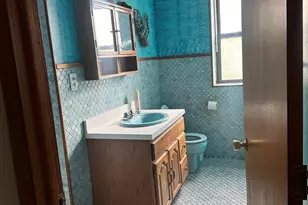 5480 S Cornell Ave, Chicago, IL 60615 - Photo 10