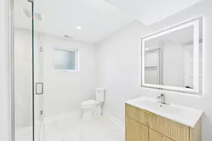 423 N Aldine Ave, Park Ridge, IL 60068 - Photo 56