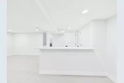 423 N Aldine Avenue, Park Ridge, IL 60068 - Photo 64